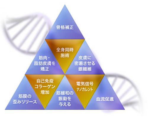 FTIスリムコレクションは骨格を建て直して、自己免疫コラーゲンを増加。