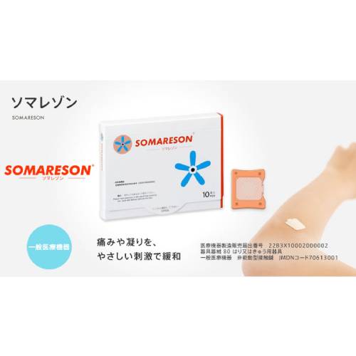ソマニクス ソマレゾン＜SOMANIKS SOMARESON＞L 100個入り | 日本美容 