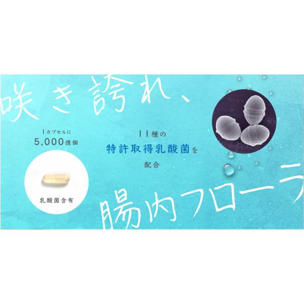 日本美容機オンラインショップ / リセットフローラS 60粒